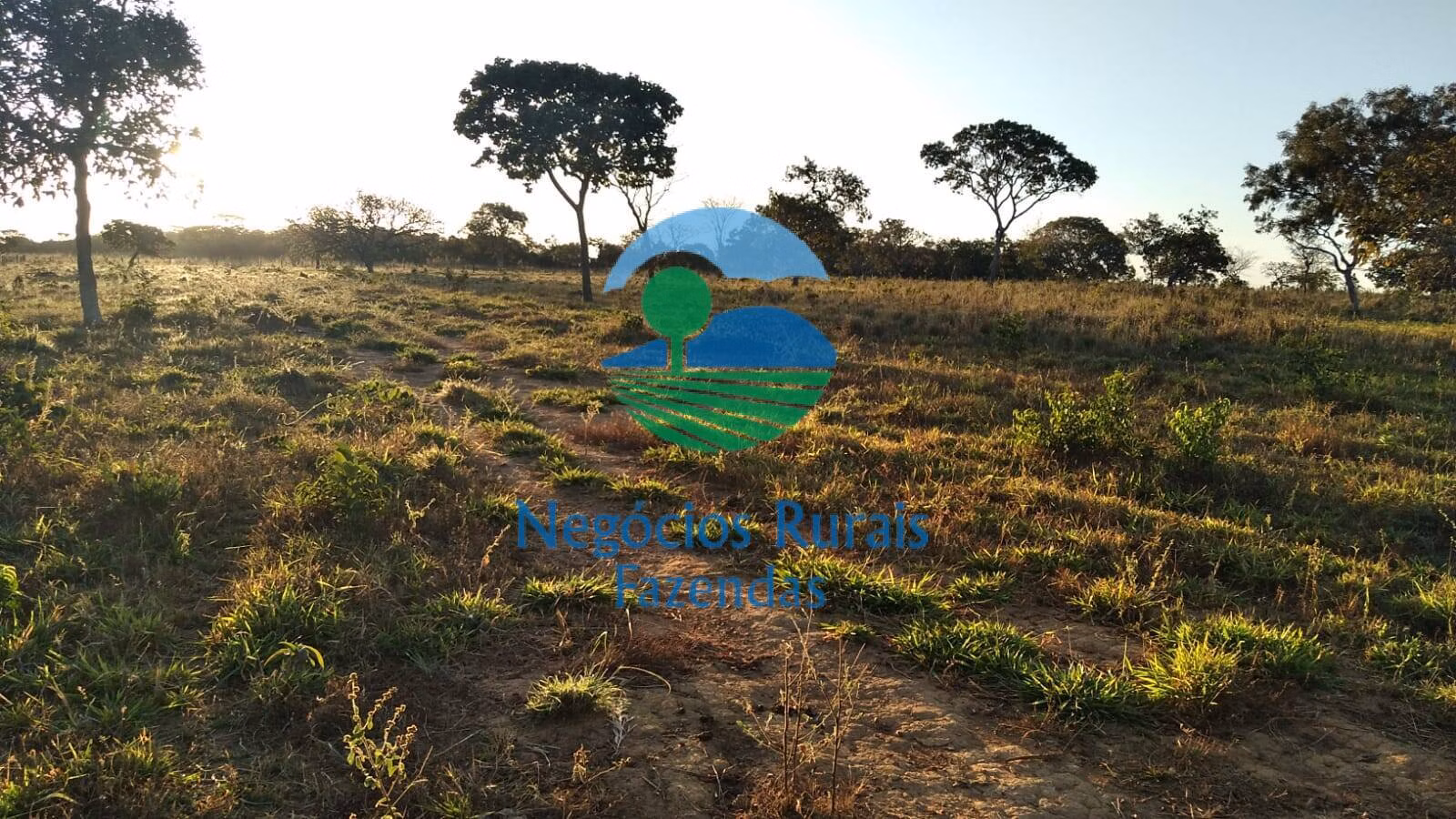 Small farm of 131 acres in Pirenópolis, GO, Brazil