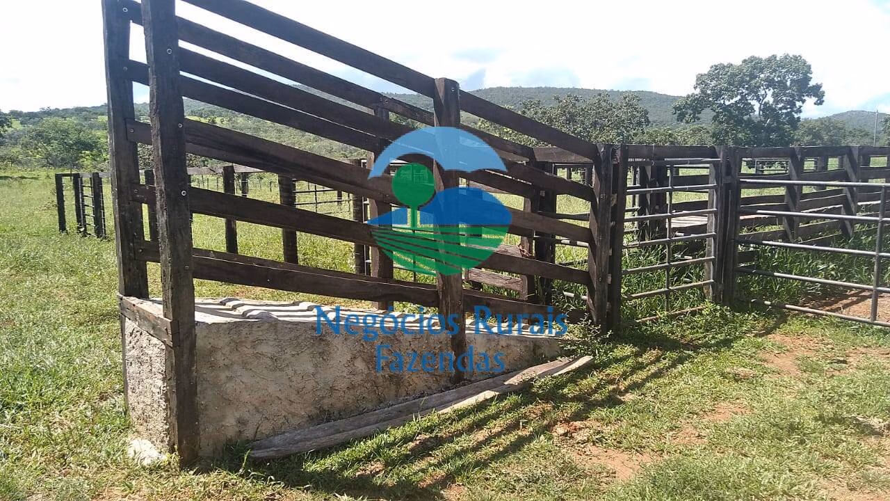 Small farm of 131 acres in Pirenópolis, GO, Brazil