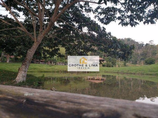 Small farm of 84 acres in Natividade da Serra, SP, Brazil