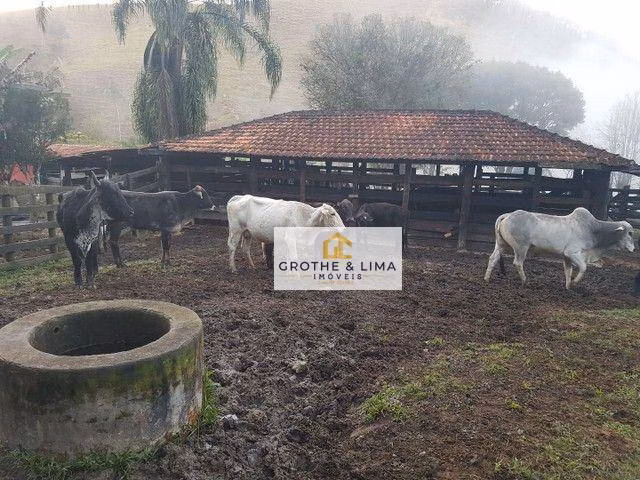 Small farm of 84 acres in Natividade da Serra, SP, Brazil
