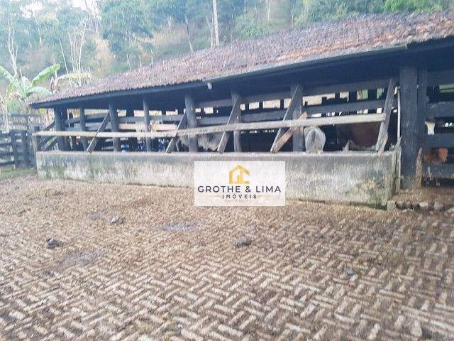 Small farm of 84 acres in Natividade da Serra, SP, Brazil