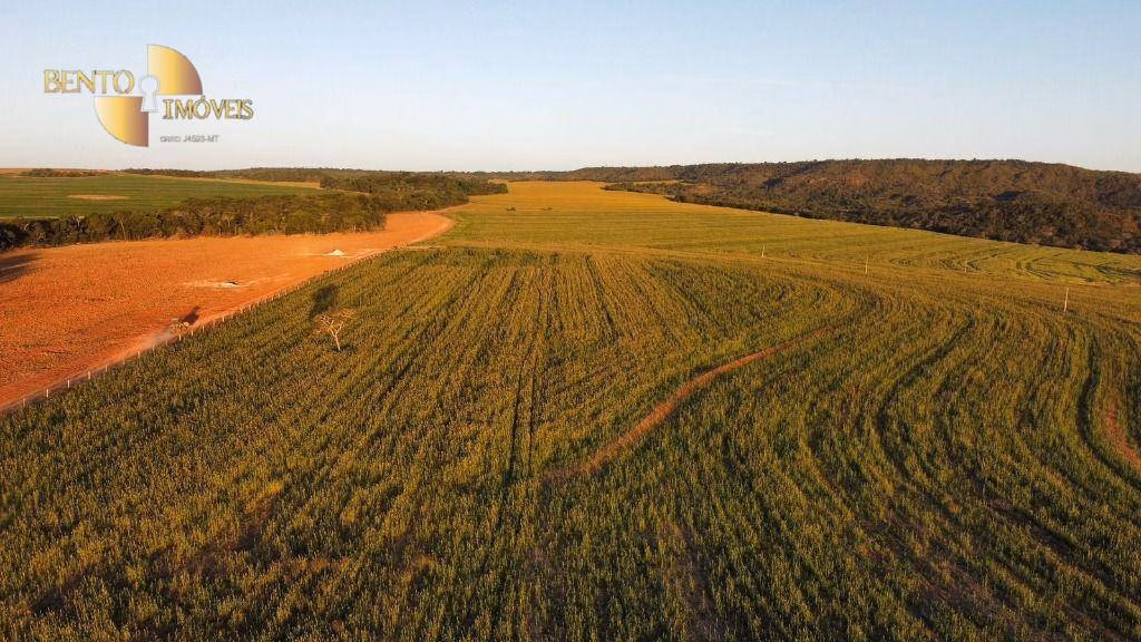 Fazenda de 1.600 ha em Tesouro, MT