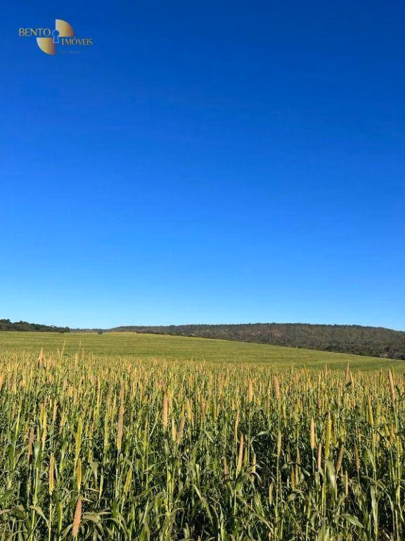 Fazenda de 1.600 ha em Tesouro, MT