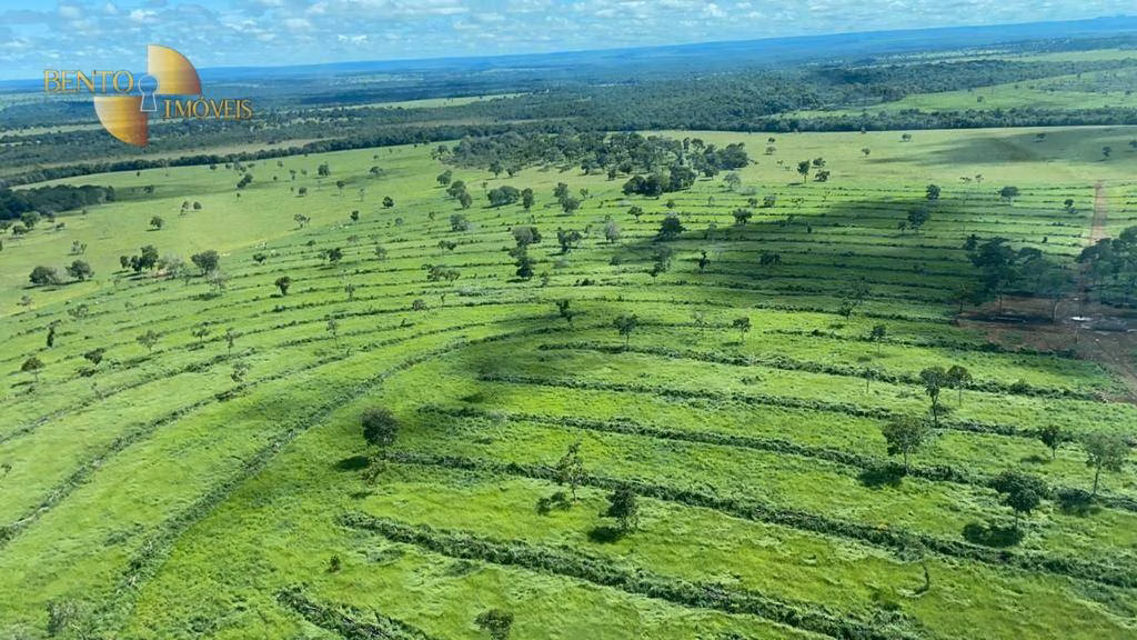 Fazenda de 7.826 ha em Alcinópolis, MS