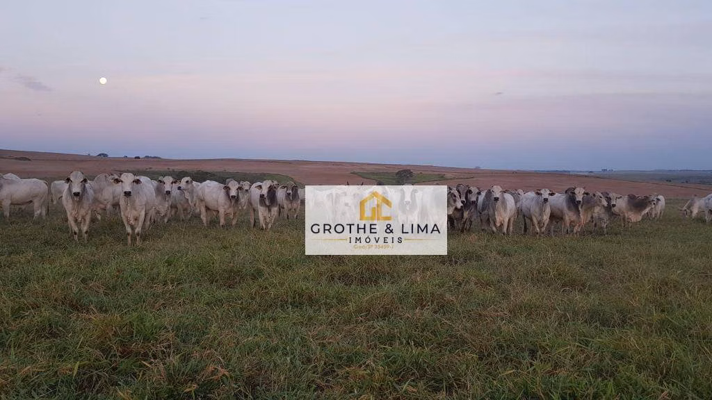 Fazenda de 4.946 ha em Marília, SP