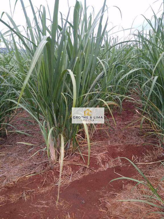 Fazenda de 4.946 ha em Marília, SP