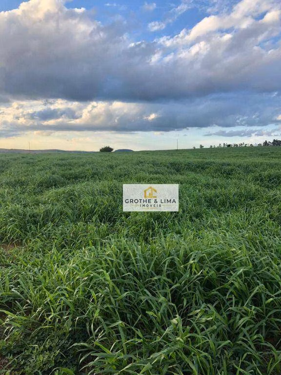 Fazenda de 4.946 ha em Marília, SP