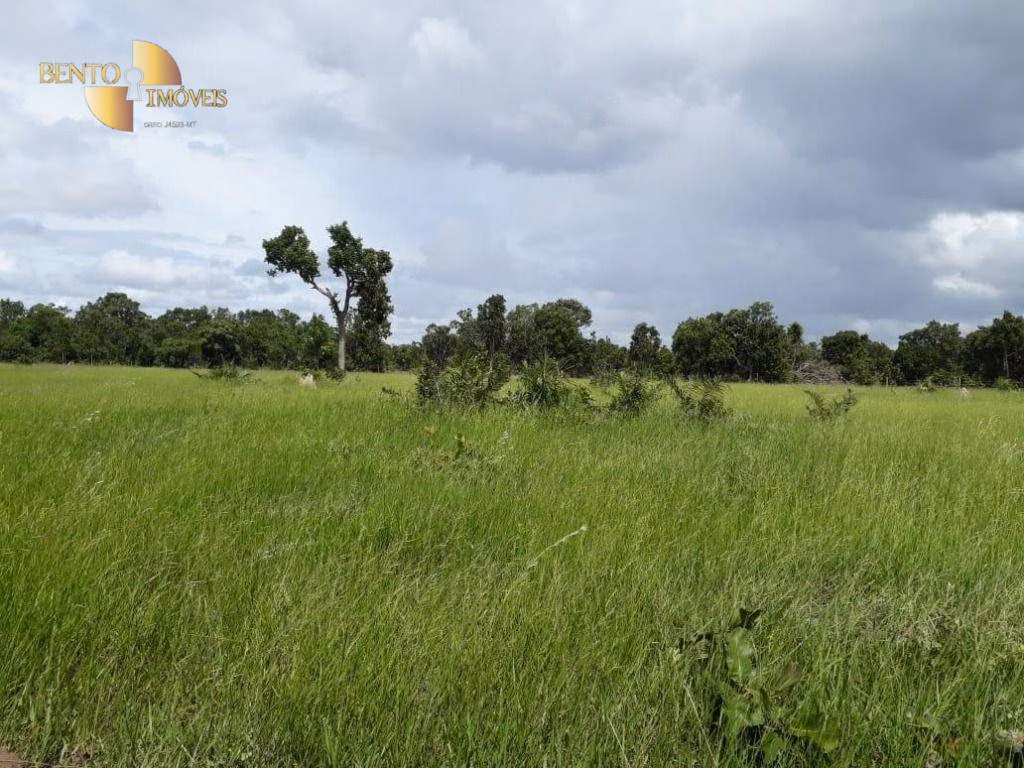 Fazenda de 1.200 ha em Acorizal, MT