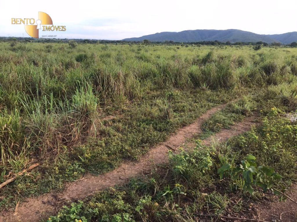 Fazenda de 1.200 ha em Acorizal, MT
