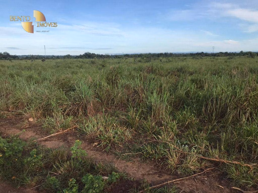 Fazenda de 1.200 ha em Acorizal, MT