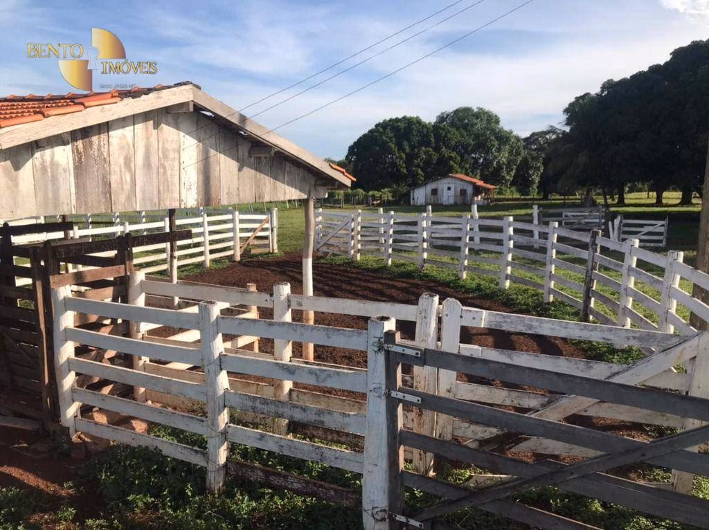 Fazenda de 1.200 ha em Acorizal, MT