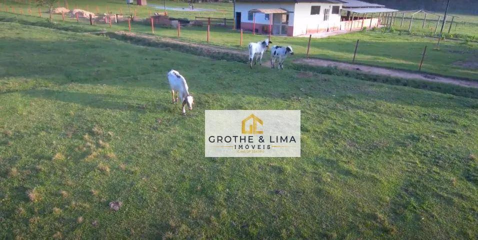 Terreno de 6 ha em São Sebastião, SP