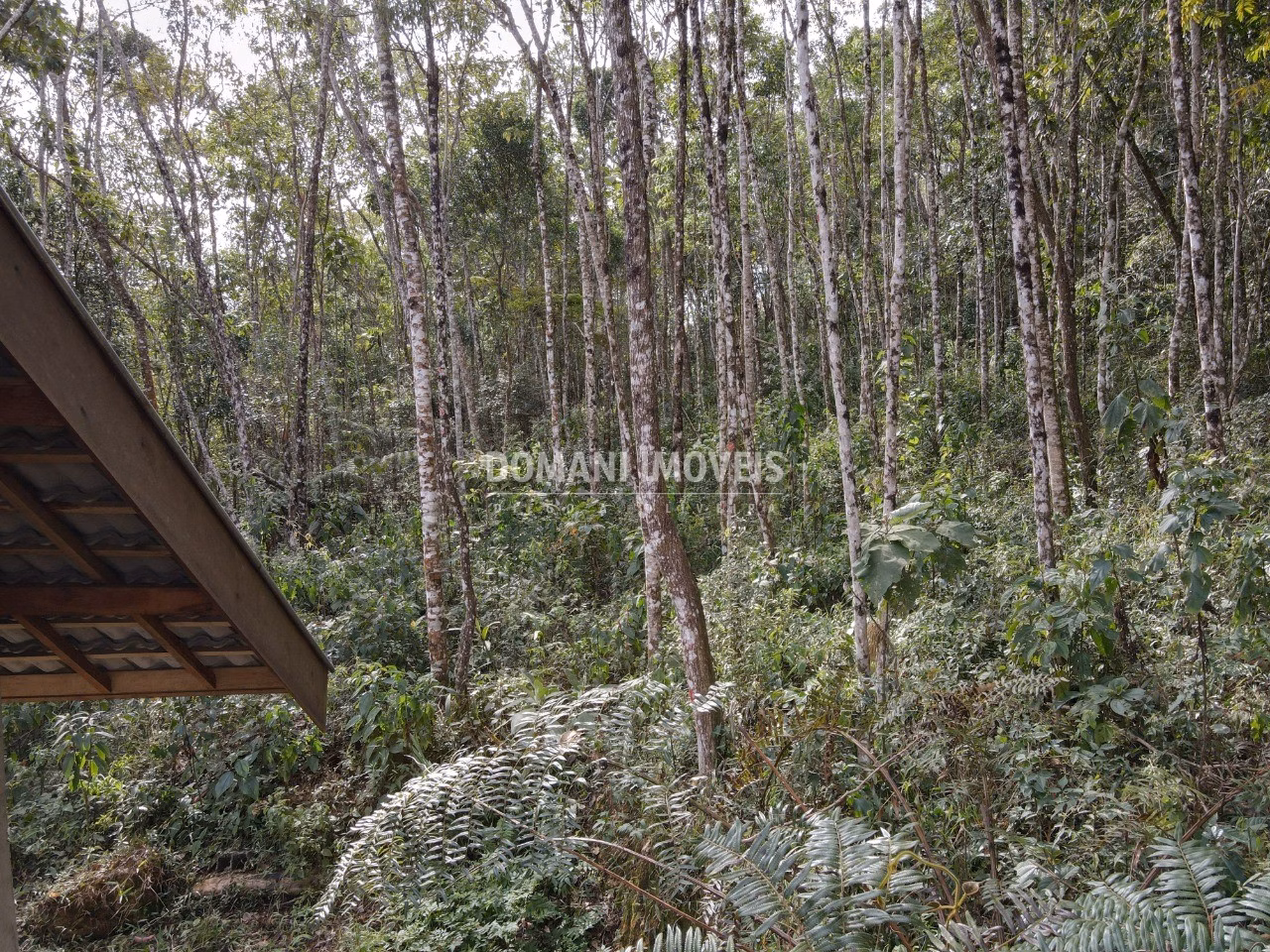 Casa de 1.630 m² em Campos do Jordão, SP