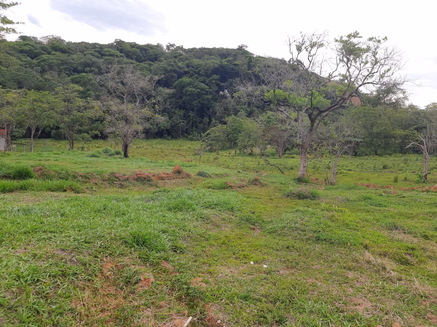 Country home of 5 acres in São José dos Campos, SP, Brazil