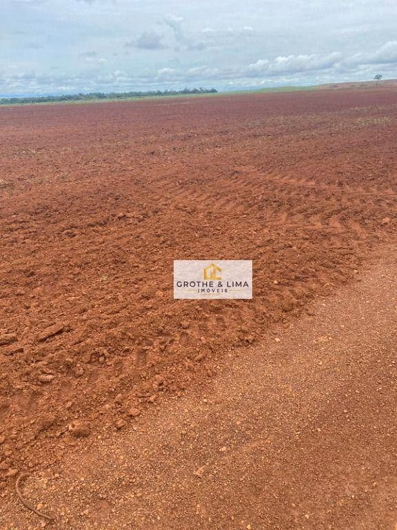 Fazenda de 2.420 ha em Lagoa da Confusão, TO