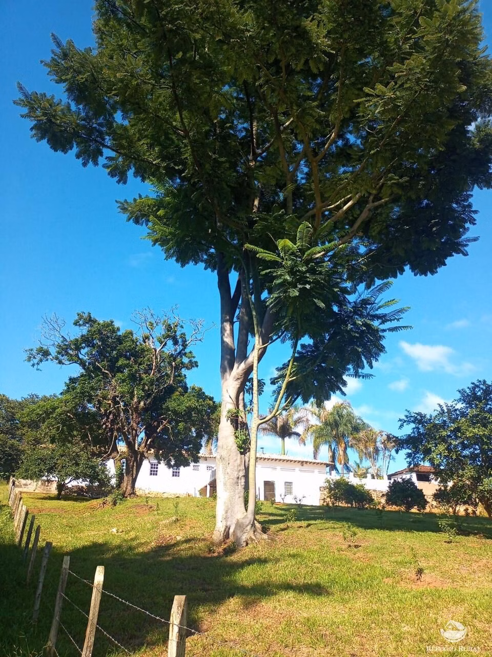 Sítio de 73 ha em Monte Sião, MG