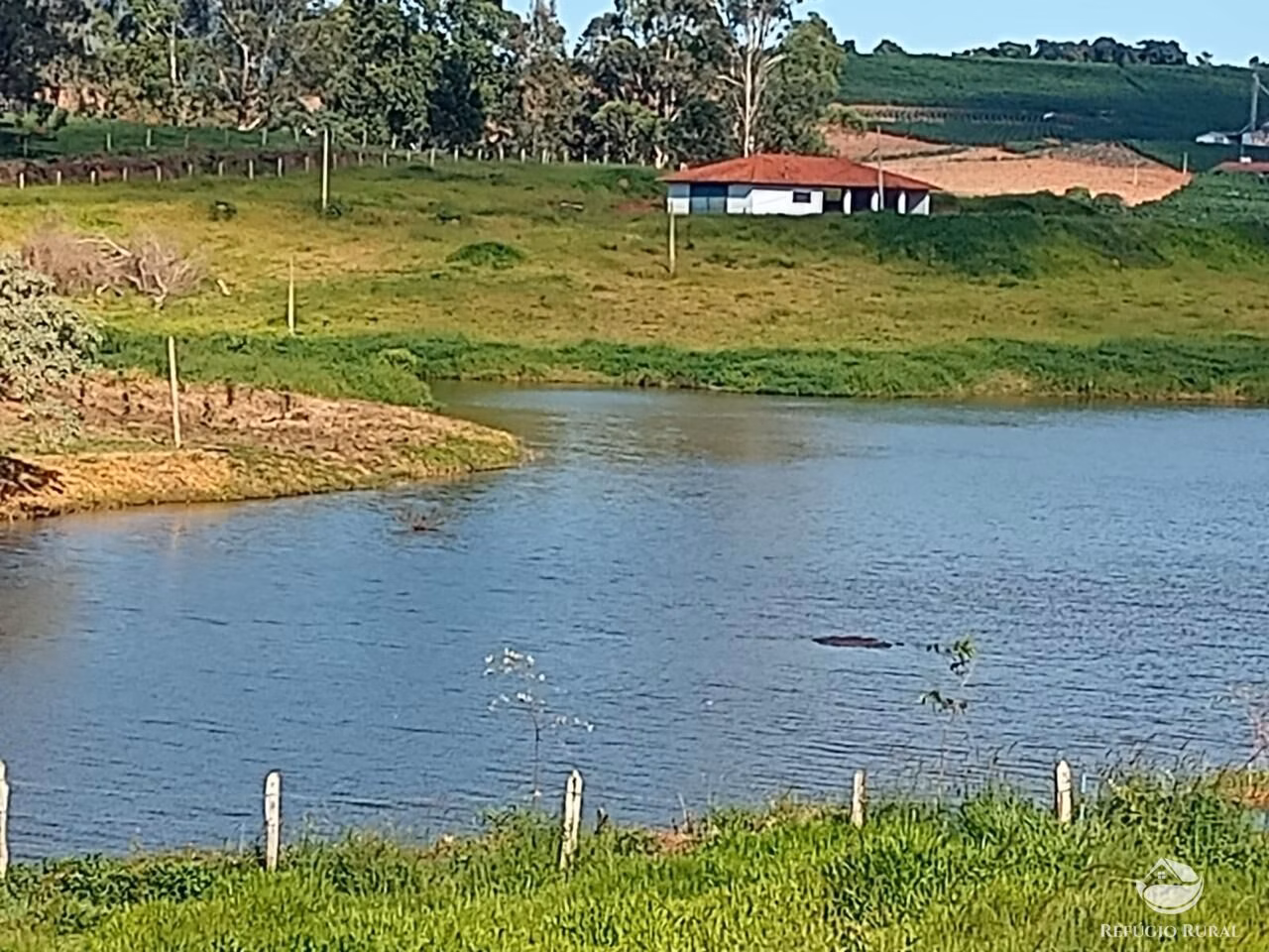 Sítio de 73 ha em Monte Sião, MG