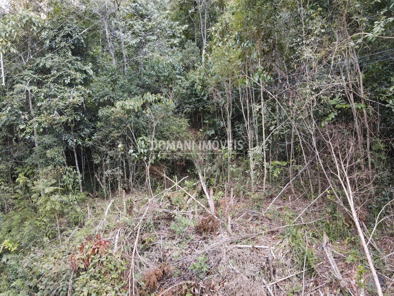Plot of 1,030 m² in Campos do Jordão, SP, Brazil