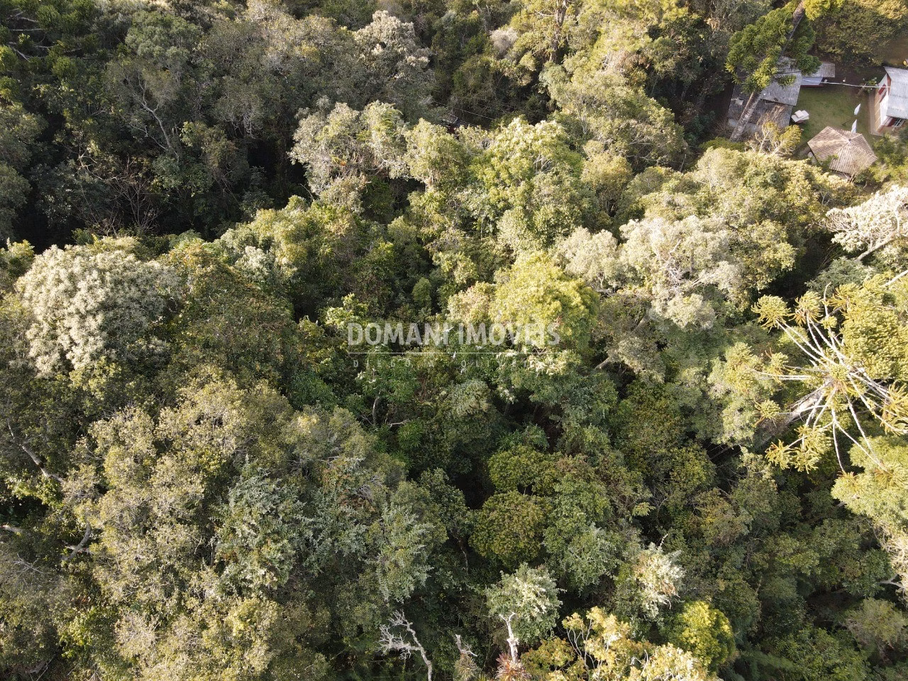 Plot of 1,030 m² in Campos do Jordão, SP, Brazil