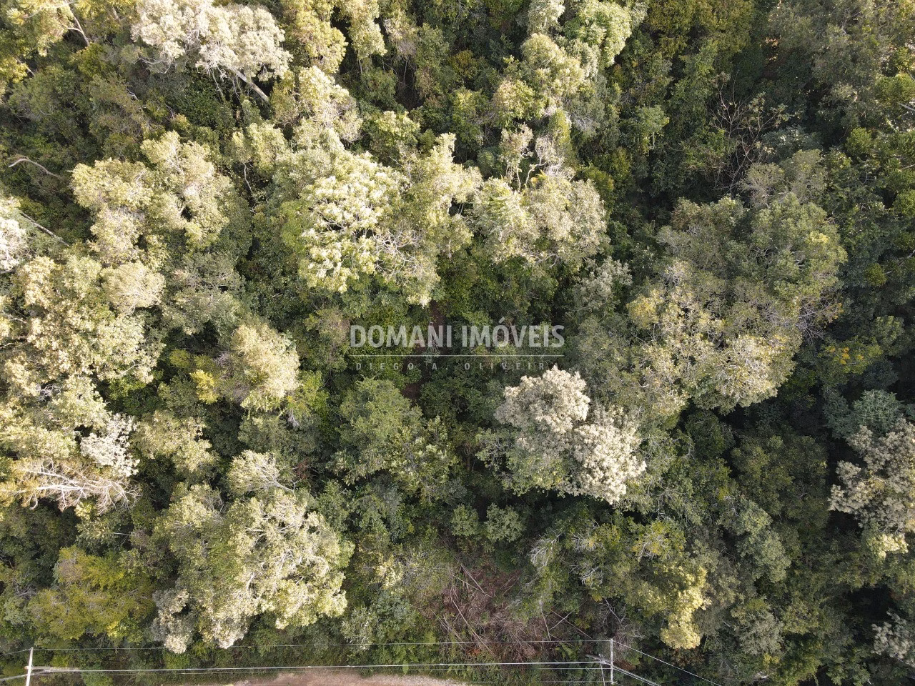 Plot of 1,030 m² in Campos do Jordão, SP, Brazil