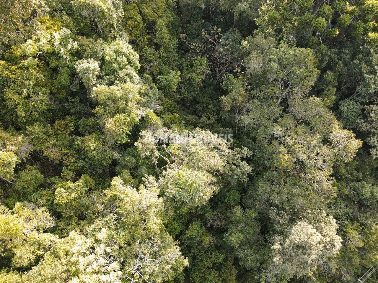 Plot of 1,030 m² in Campos do Jordão, SP, Brazil