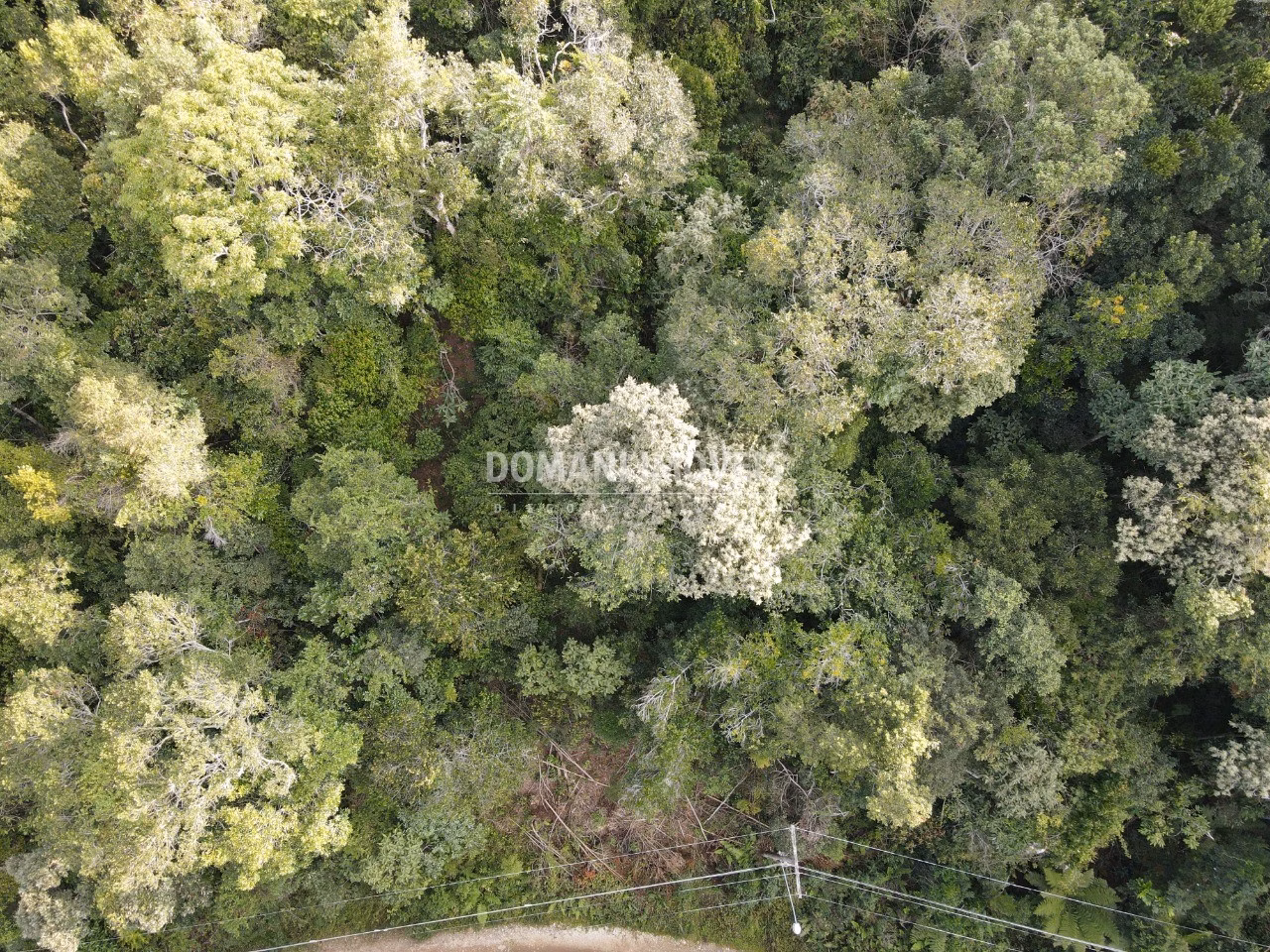 Plot of 1,030 m² in Campos do Jordão, SP, Brazil