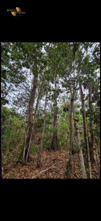 Farm of 1.532 acres in Chapada dos Guimarães, MT, Brazil