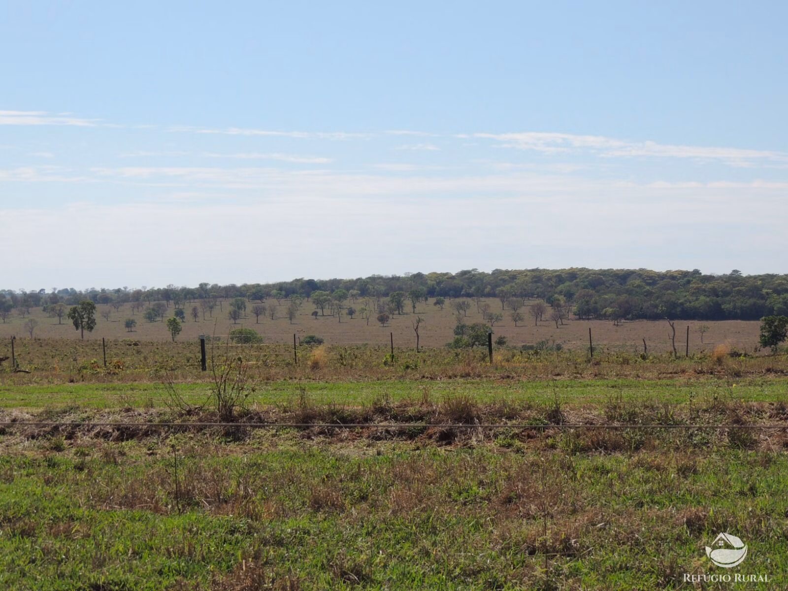 Fazenda de 2.420 ha em Chapadão do Sul, MS