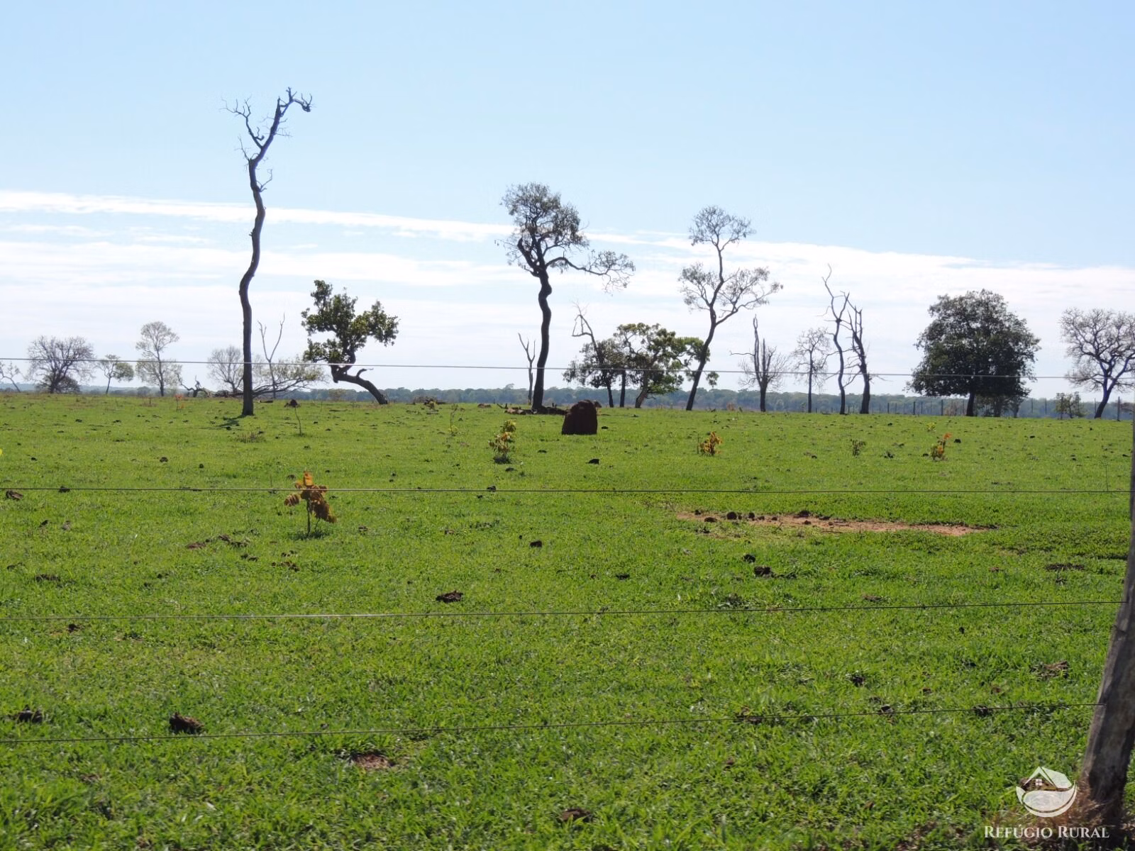Fazenda de 2.420 ha em Chapadão do Sul, MS