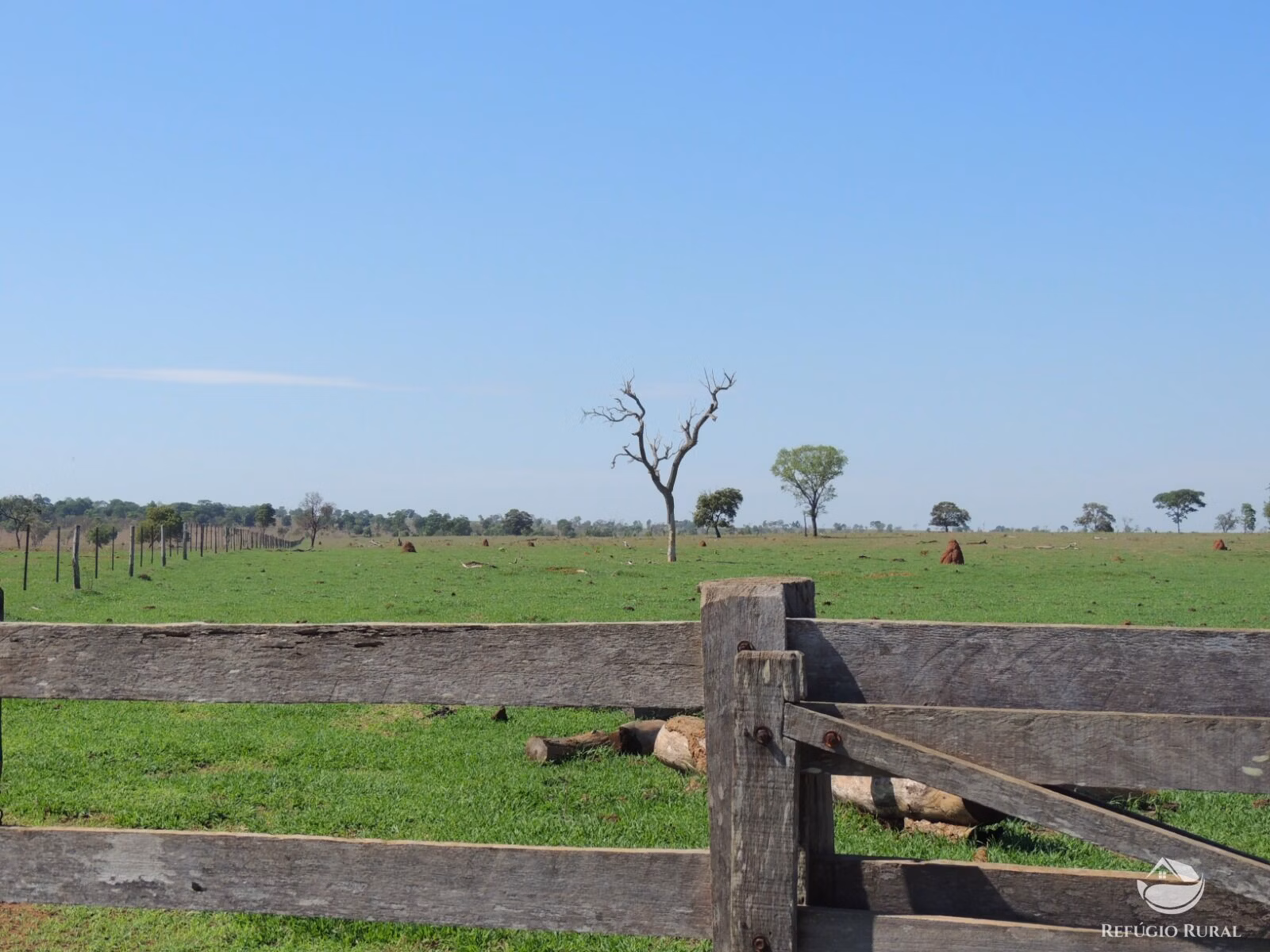 Fazenda de 2.420 ha em Chapadão do Sul, MS