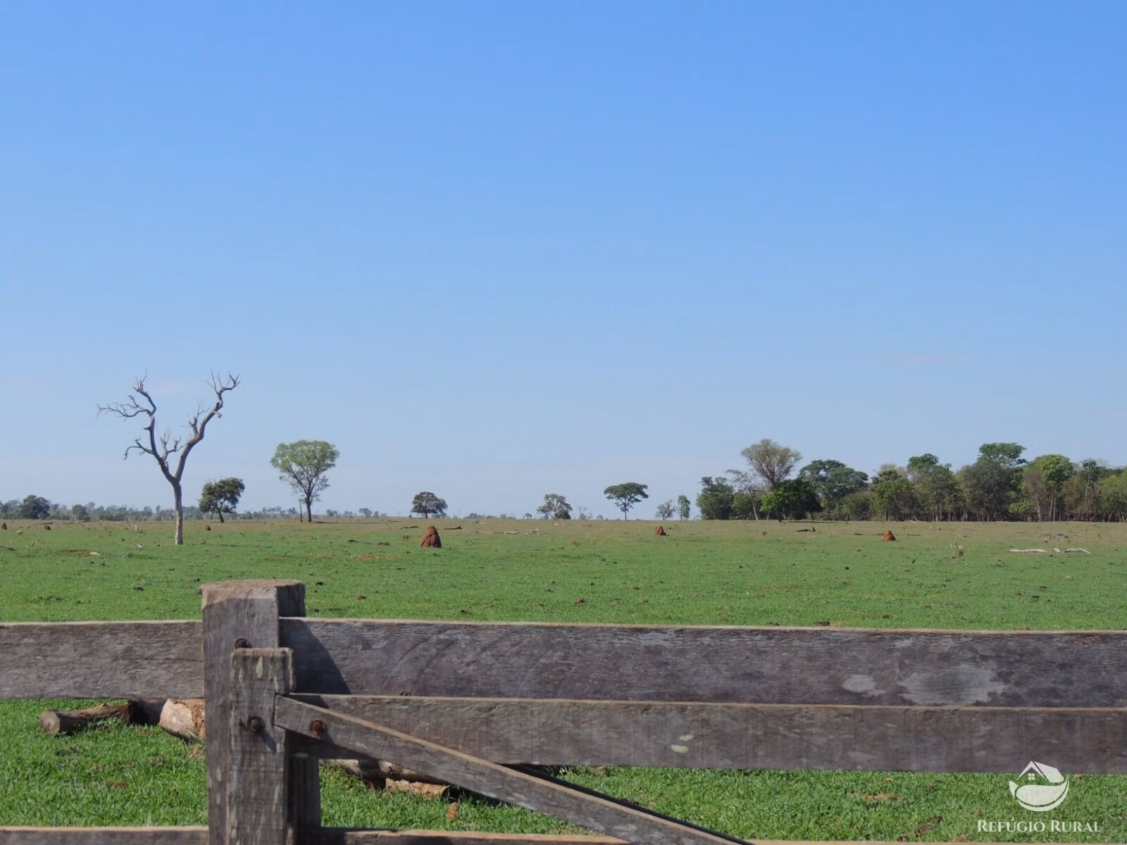 Fazenda de 2.420 ha em Chapadão do Sul, MS