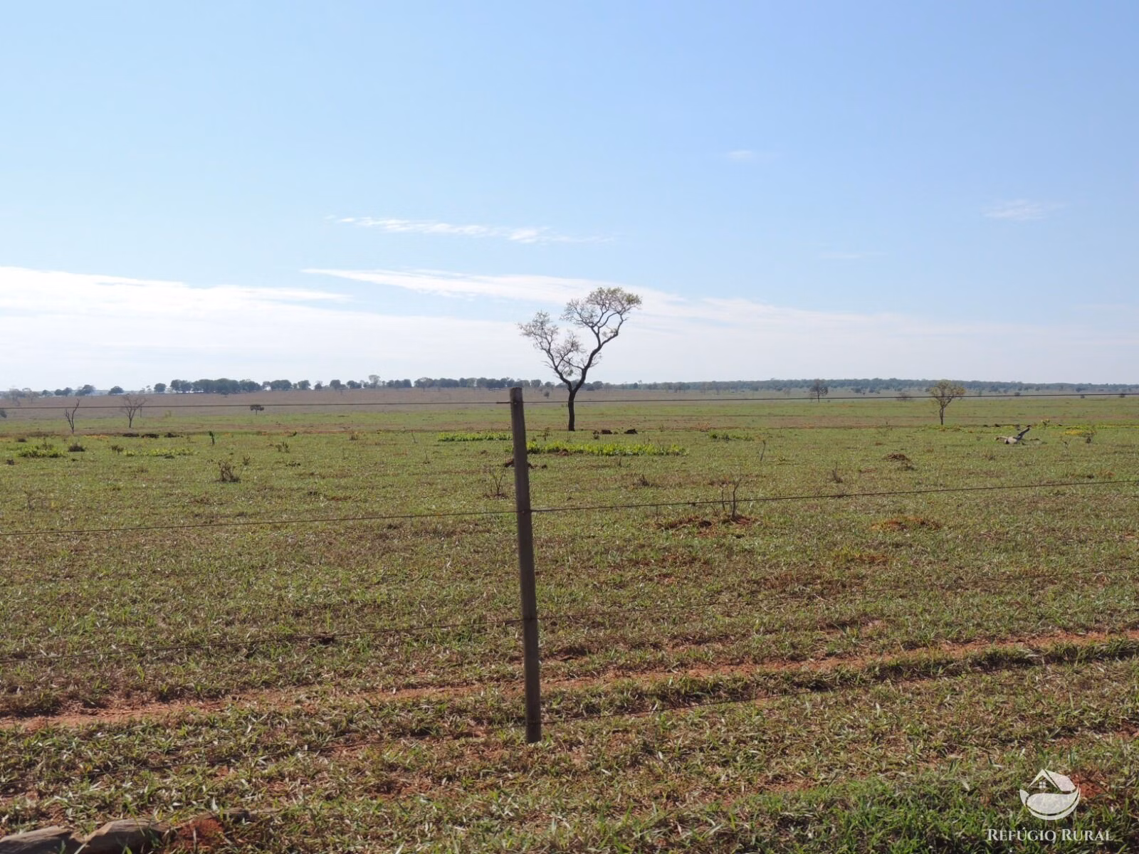 Fazenda de 2.420 ha em Chapadão do Sul, MS