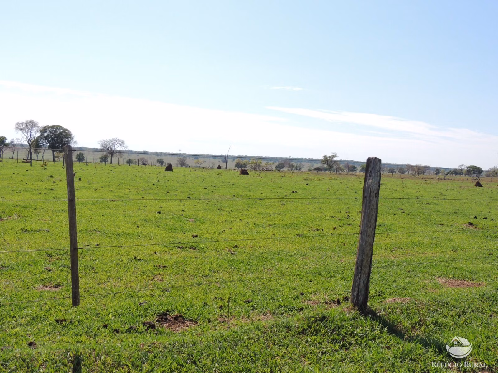 Fazenda de 2.420 ha em Chapadão do Sul, MS