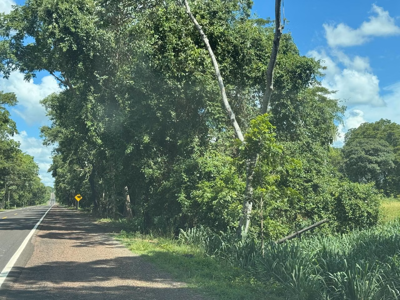 Terreno à venda de 8 ha em Miranda, MS