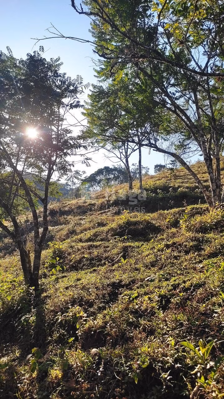 Farm of 37 acres in São João Batista, SC, Brazil