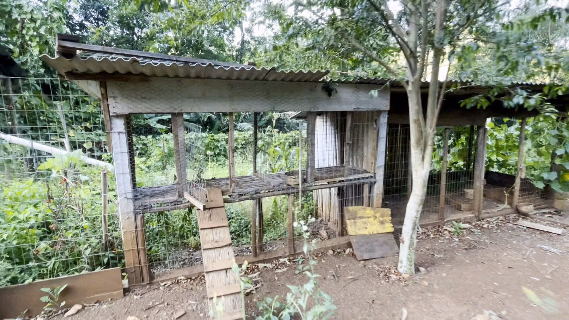 Terreno de 3 ha em São Francisco de Paula, RS