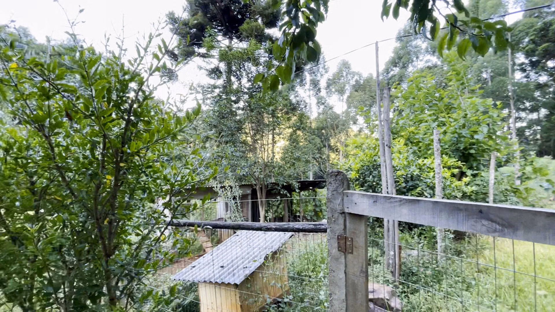 Terreno de 3 ha em São Francisco de Paula, RS