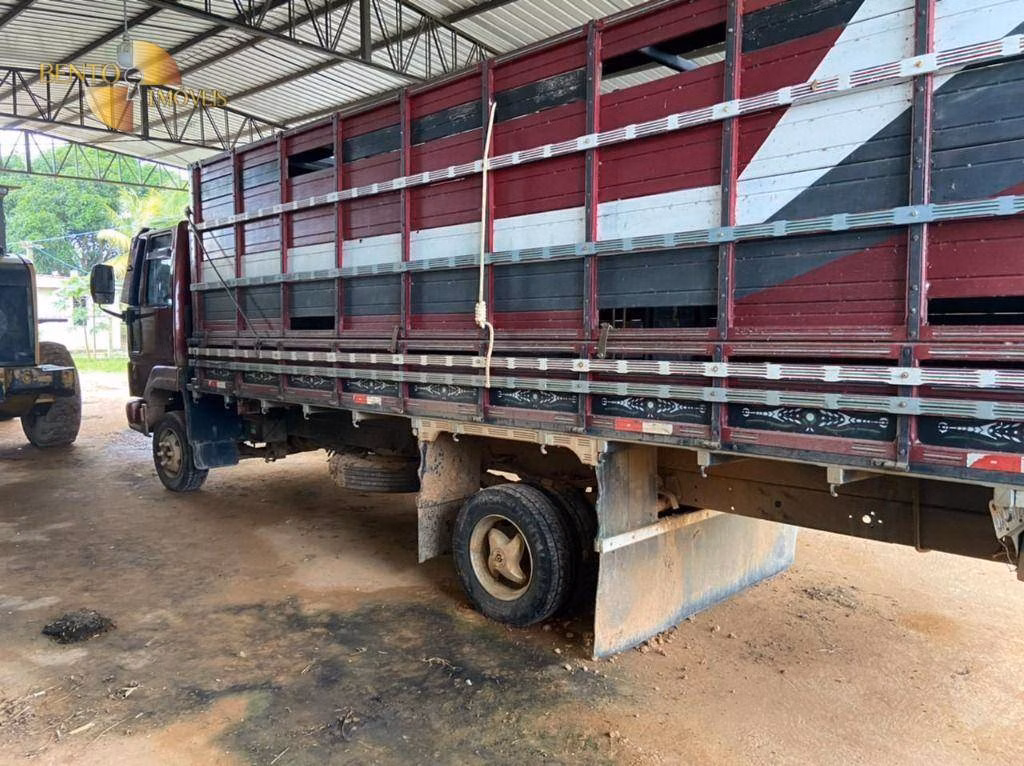 Fazenda de 900 ha em Rorainópolis, RR