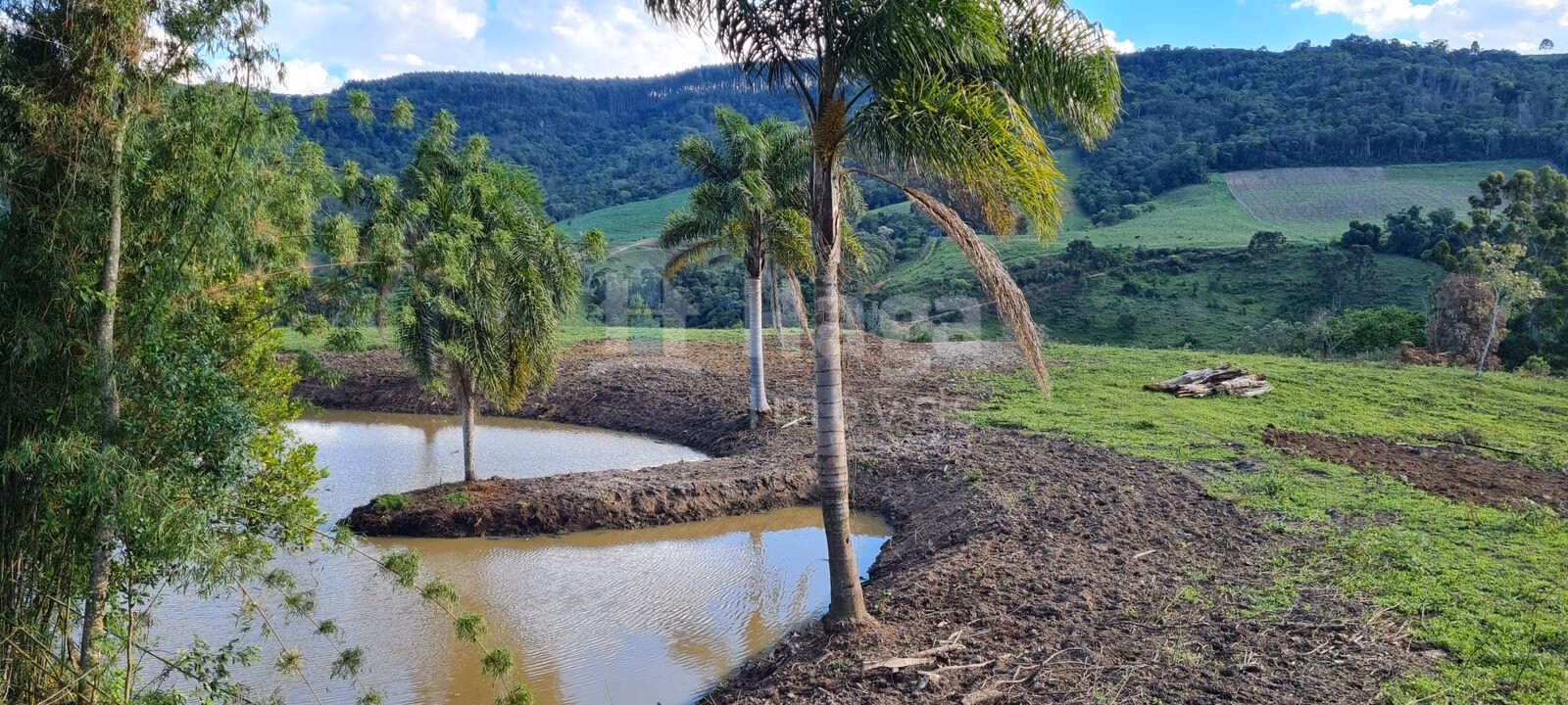 Chácara de 28 ha em Alfredo Wagner, SC
