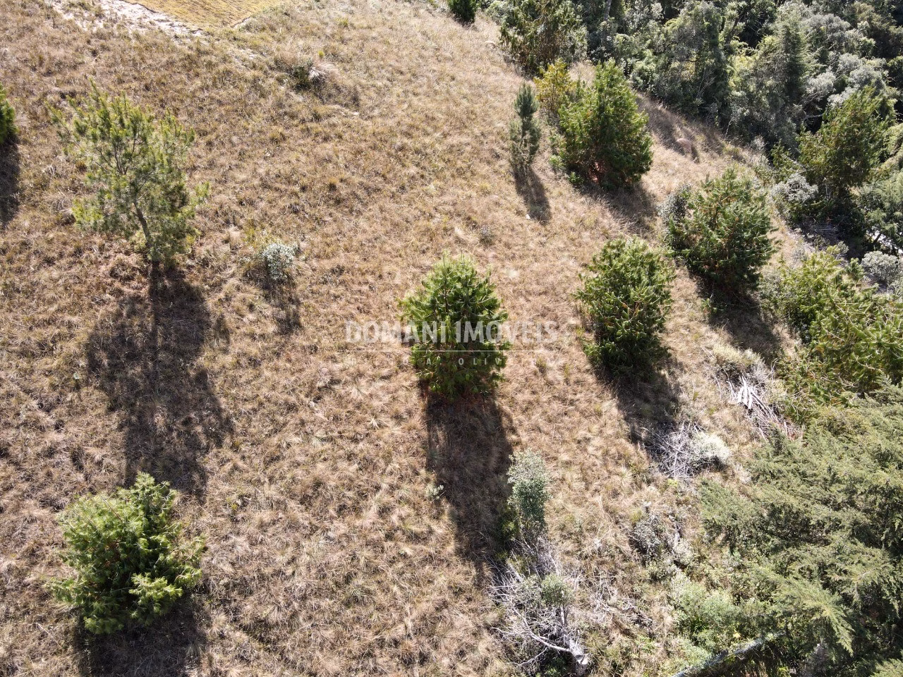 Plot of 2,210 m² in Campos do Jordão, SP, Brazil