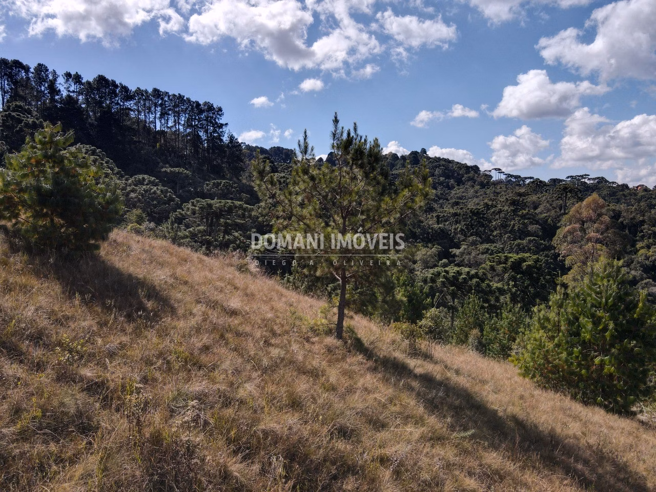 Terreno de 2.210 m² em Campos do Jordão, SP