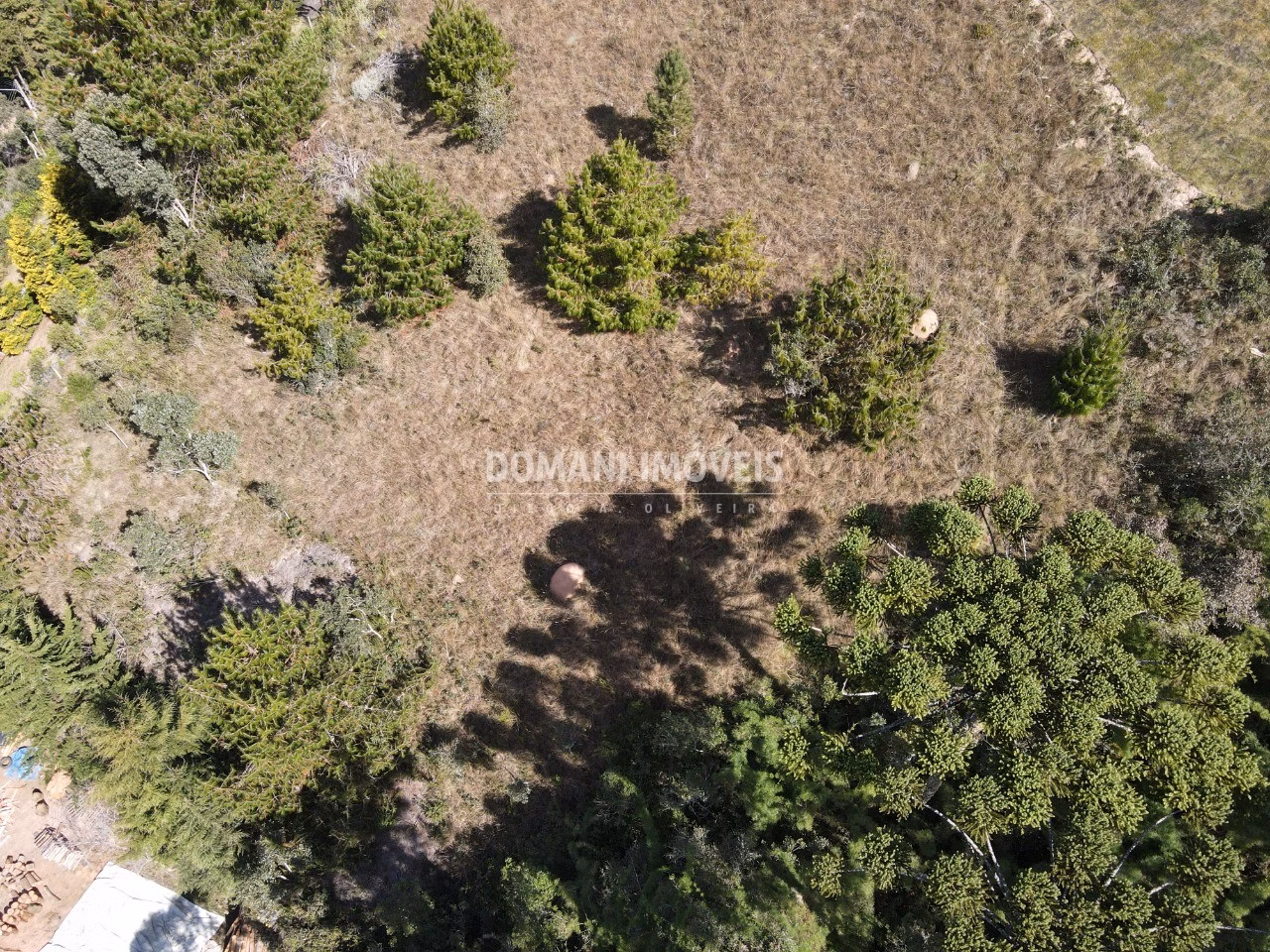 Plot of 2,210 m² in Campos do Jordão, SP, Brazil
