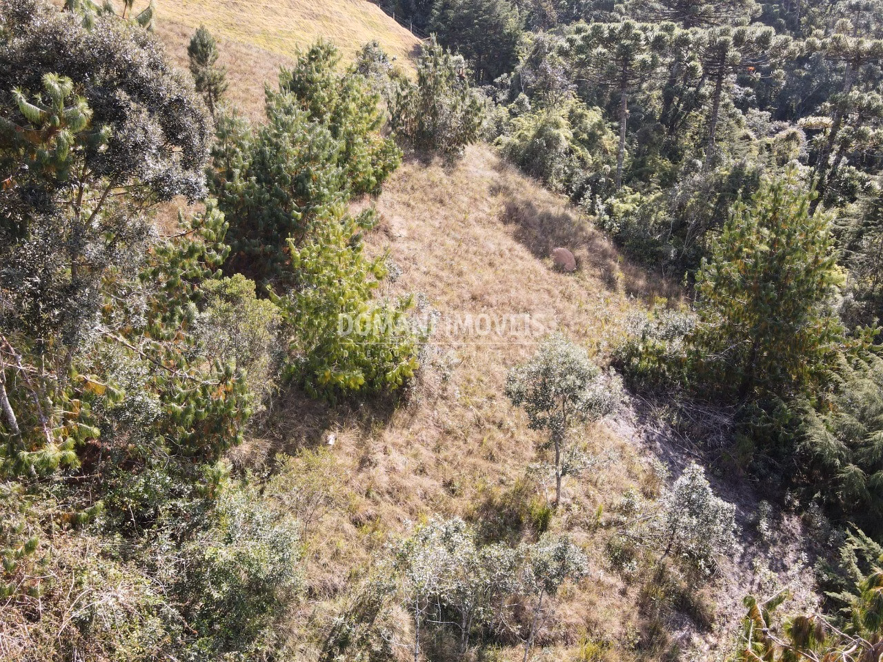 Plot of 2,210 m² in Campos do Jordão, SP, Brazil