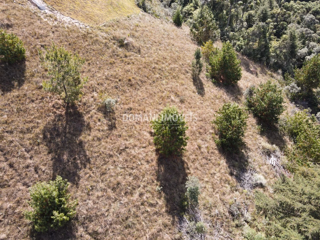 Plot of 2,210 m² in Campos do Jordão, SP, Brazil