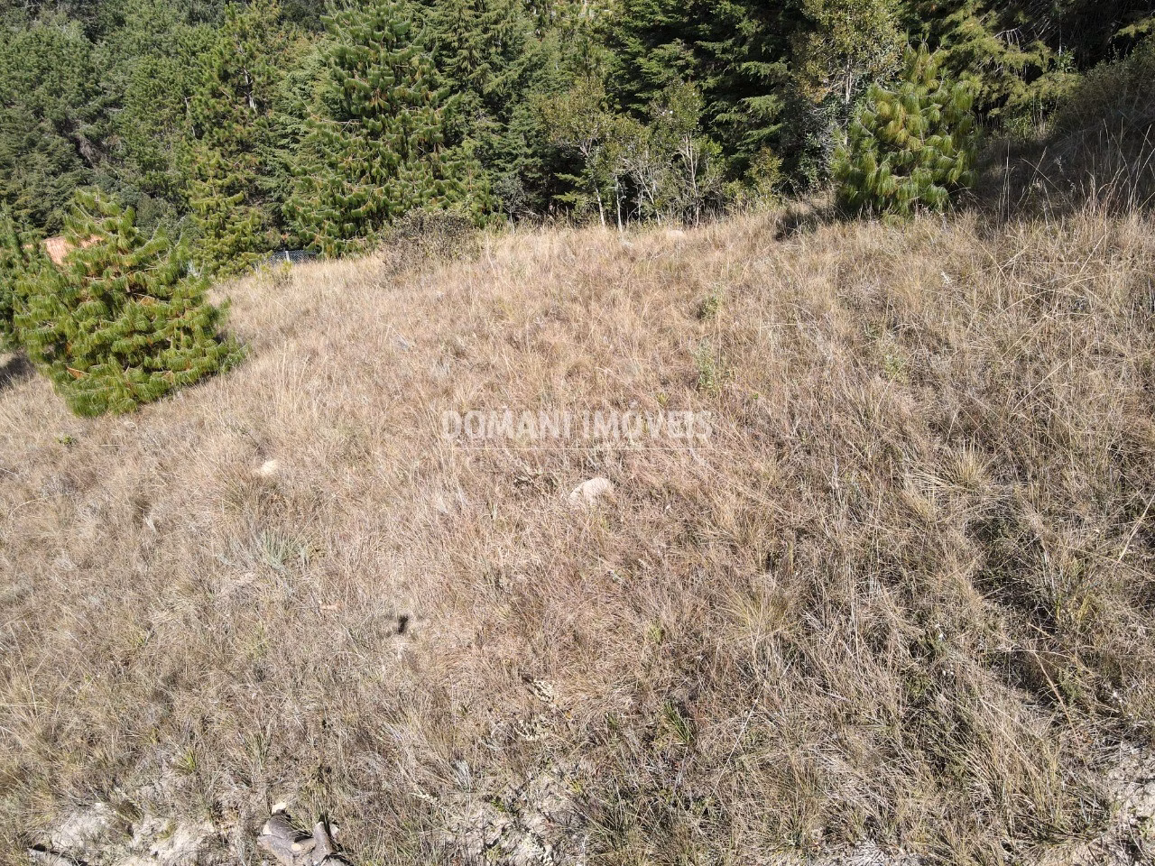 Plot of 2,210 m² in Campos do Jordão, SP, Brazil