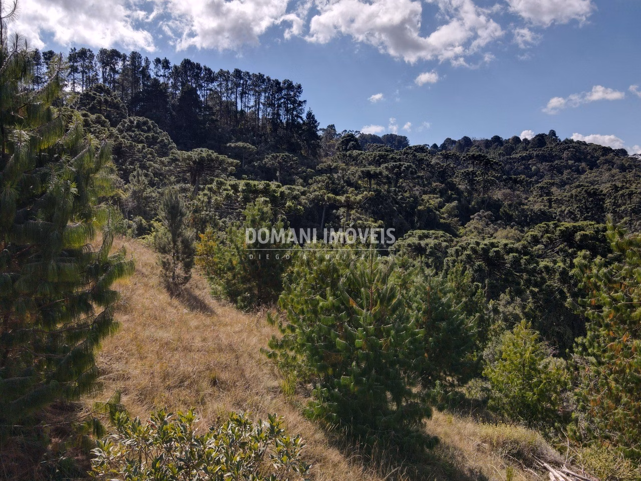 Plot of 2,210 m² in Campos do Jordão, SP, Brazil