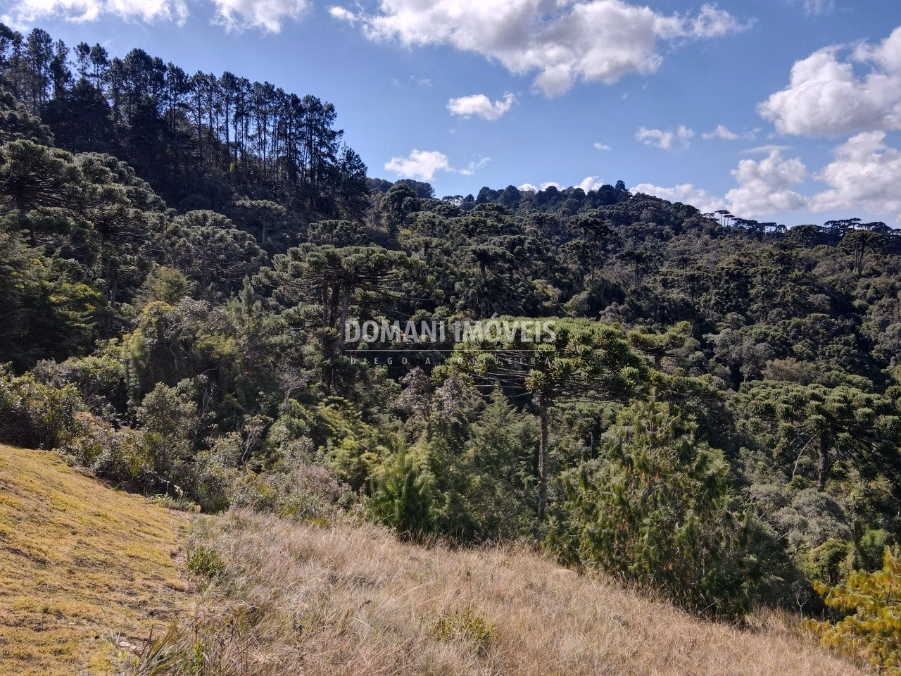 Plot of 2,210 m² in Campos do Jordão, SP, Brazil