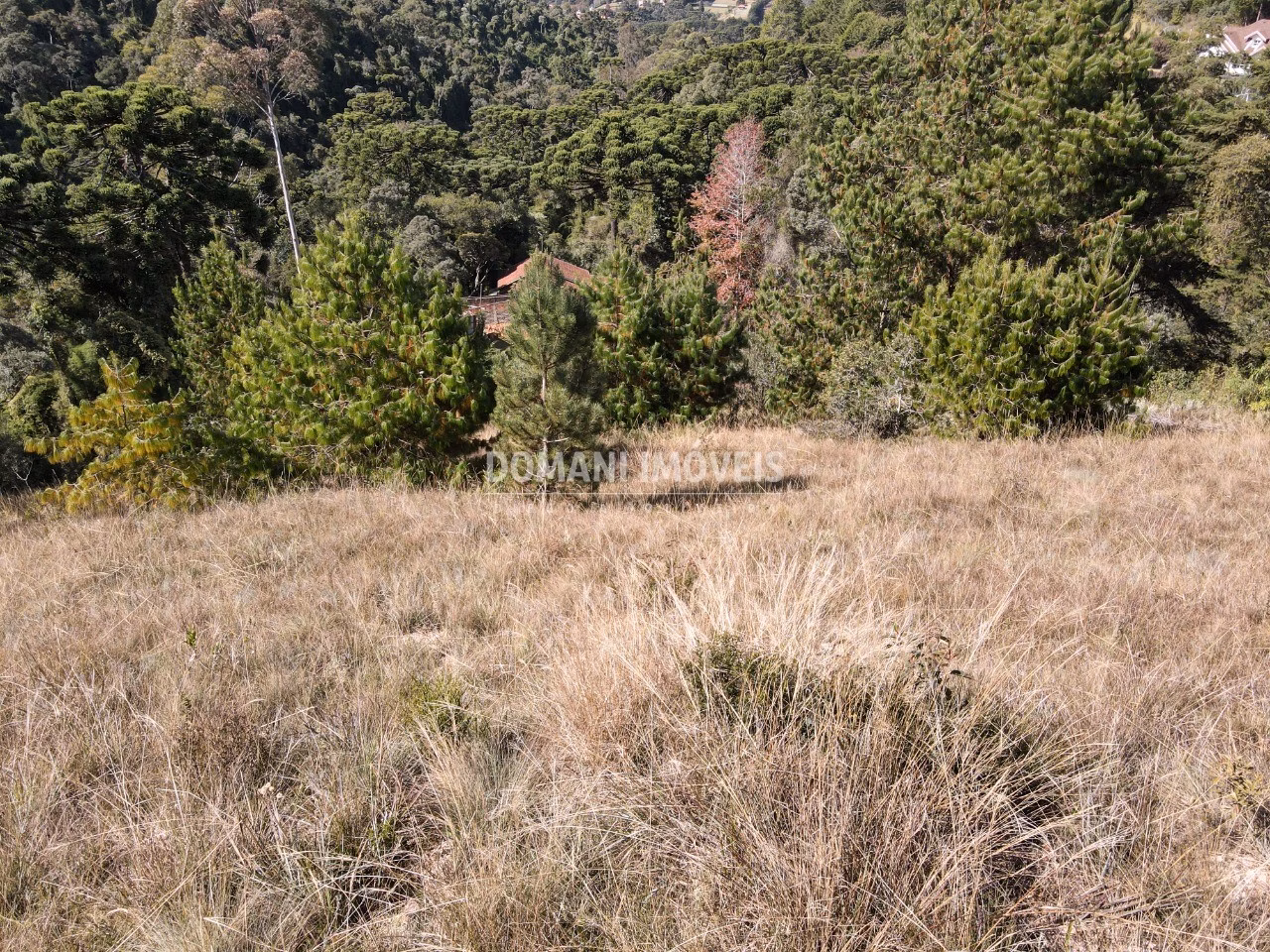 Plot of 2,210 m² in Campos do Jordão, SP, Brazil