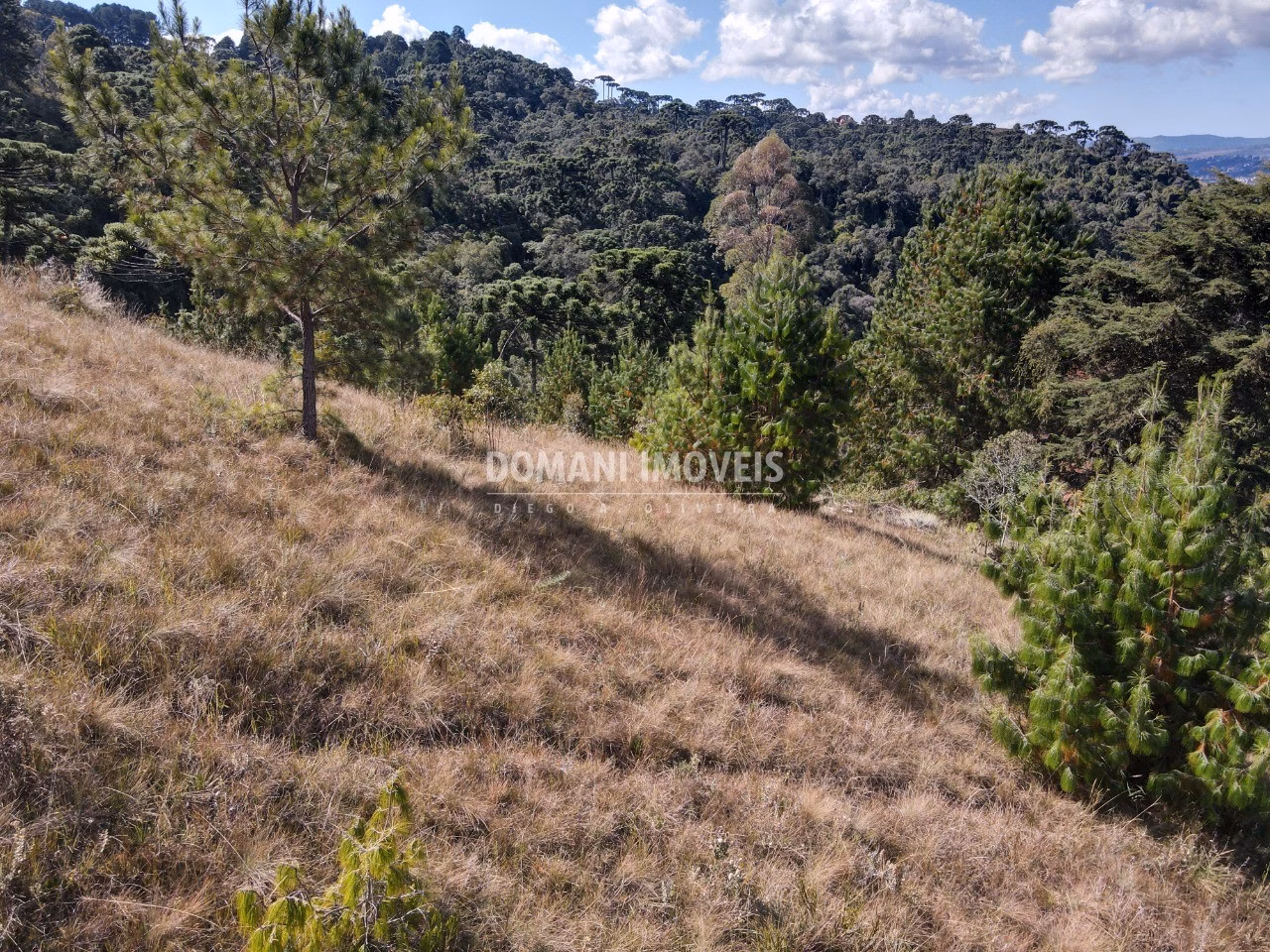Plot of 2,210 m² in Campos do Jordão, SP, Brazil