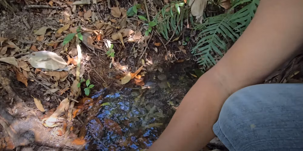 Chácara de 3 ha em Tomazina, PR